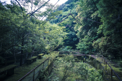 thefrogsapothecary: gitsandshiggles: elugraphy: Abandoned  playground in forest 02. @andreakont