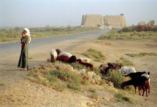 ektenia:Shepherdess and her flock in the medieval Silk Road city, home of the great poet/astronomer Omar Khayyam, with the ruins of the great Kiz Kala in the background. Merv, Turkmenistan, 1996by Ian Berry (source)