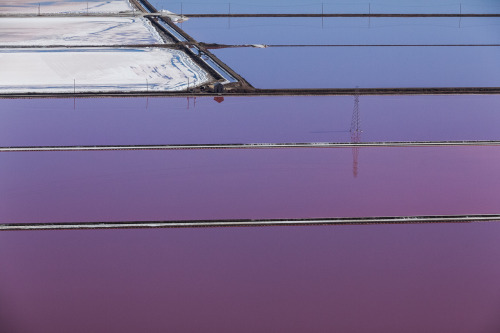 itscolossal: Purple Views of the San Francisco Bay Salt Ponds by Julieanne Kost