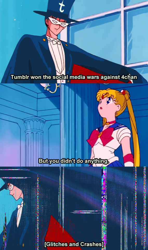 Tumblr media