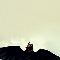 tiffany-lavieenrose:  HTTYD 2 icons : empty space