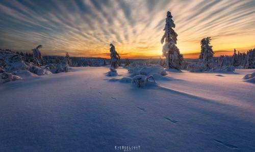 ‎Follow the white rabbit tracks through a winter display © @eyeseelight #mountains #nature 