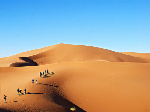 12 2797 - Maroc, randonnée sur les dunes de l'erg Chegaga by jeanpierreossorio on Flickr.