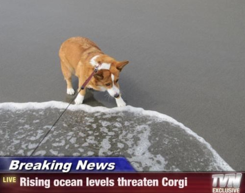 rabalogy:stoned-levi:that settles itwe have to get rid of the ocean