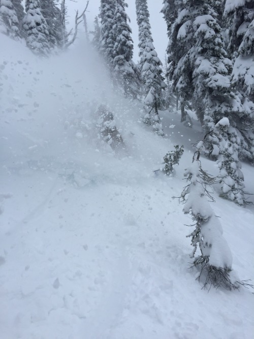 First day touring this season, Kootenay Pass, Nov 17th.Pics by CNM