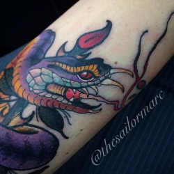 sailormarc:  Deets on this purple rattlesnake Thanks Andreia ;)   #neotraditional #newtraditional #tattooworkers #ntgallery #ntgallery #boldlines #boldwillhold #neotraditional #newtraditional #neotradsub #supportgoodtattooers #snaketattoo (em Glorybound