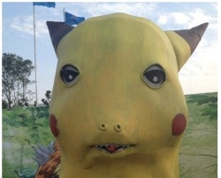 cutesy:  pikachu whats wrong 