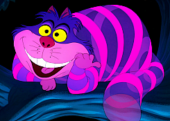adoensis-blog:  Disney Cats 