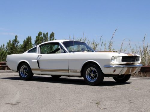 mustanglegendarymachine:      Wimbledon White   Shelby GT350 1966 with optional “Le Mans” stripes in gold.  