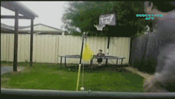 failsnet:  Tumblr Fails.net - From Downtown