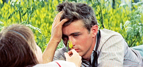 nymphetnextdoor:Is there any women who is not attracted to James dean?