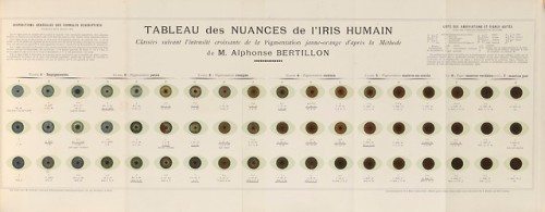 Tableau des Nuances de l'Iris Humain by Alphonse Bertillon (1893).Alphonse Bertillon was a French po