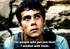 not when i've spent my entire life loving you 