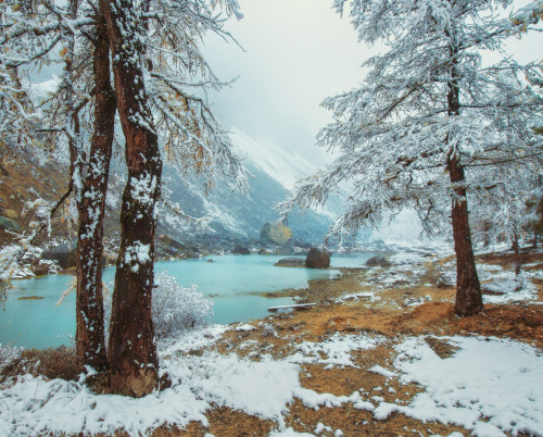 expressions-of-nature: Altai Mountains by Vladimir Lipetskih