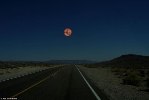 unexplained-events:  Former NASA art director Ron Miller created images of what the night sky would look like if the moon was replaced by the other planets in the solar system. 1. Moon ( Original photo taken over Death Valley, California.)2. Neptune3.
