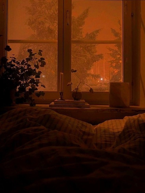 Happy Autumn