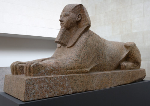 kayleekarusarsa: awesomepharoah: Sphinx of Hatshepsut,  ca. 1479–1458 B.C.E, 18th Dynasty