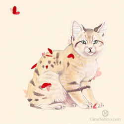 somethingliger:  “Sand cat and red butterflies”