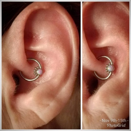 Another cute little #daith with a beaded lavender #opal captive ♡ #APP #APPMember #safepiercing #pie