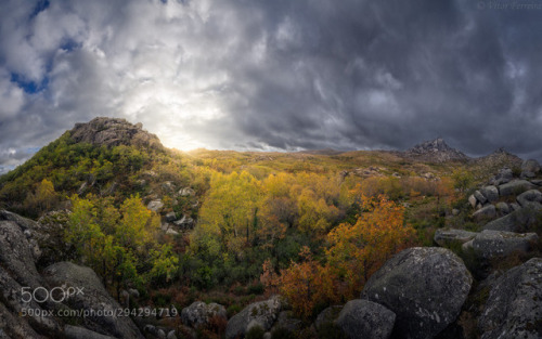 Autumn Delight by vitorferreiraphotography