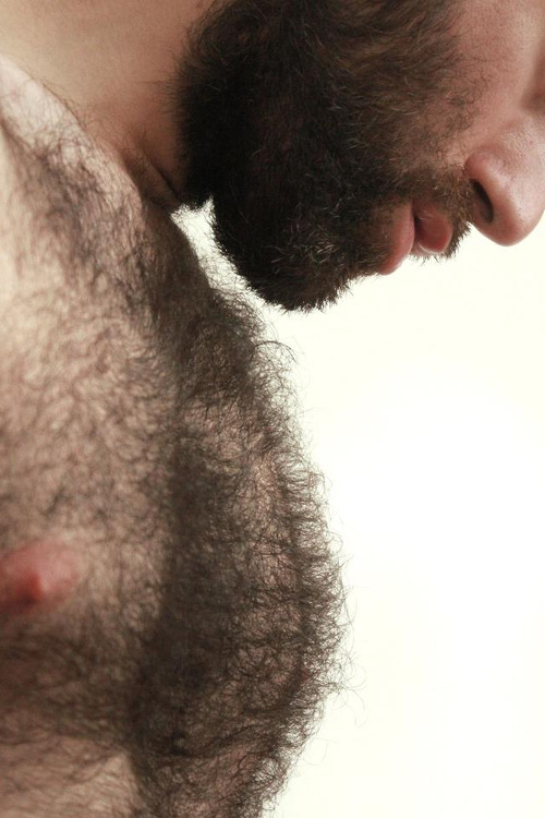 biblogdude:  Look at all that hot hair! 