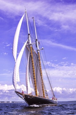 fytallships:  Raced against Columbia this summer.  It wasn’t fair, but it was pretty.