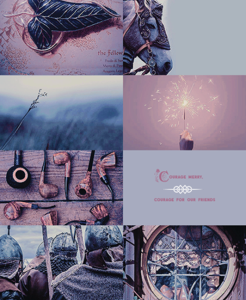 leroichevalier: → Fellowship of the ring: The hobbits. Frodo Baggins Samwise Gamgee Meriadoc Br