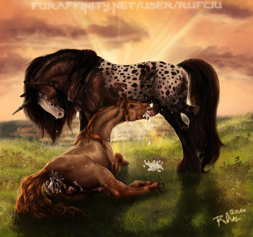 ARTIST SPOTLIGHT #1: RufciuRufciu is one of my personal favorite artists, so it wasnâ€™t hard to procure ten of my favorite pictures for this. She specializes in feral equine art particularly as showcased here. While Rufciu has done several feral on anthr