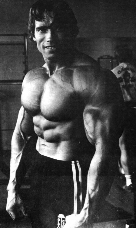 nathansidneyrobinson:  Arnold Schwarzenegger rare photos