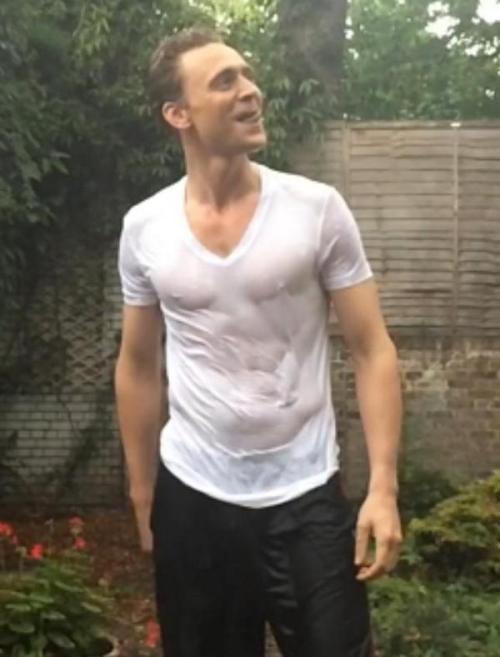 gofuckyourselftomhiddleston:thisperspective:*violent muffled cursing*