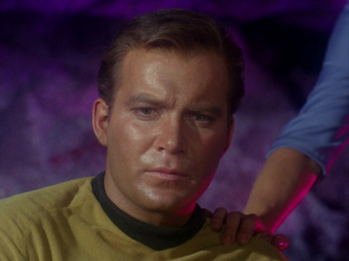 plaidshirtjimkirk: [[ Star Trek Advent Calendar ]] [[ day 11 ~ most beautiful character ]] #real