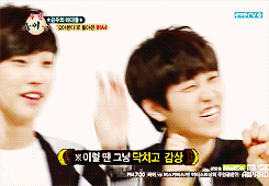 sdeul-blog:   b1a4’s awkward cutie player ft. princess squirrel being his gross