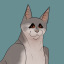 kangaroostarthewarriorcat