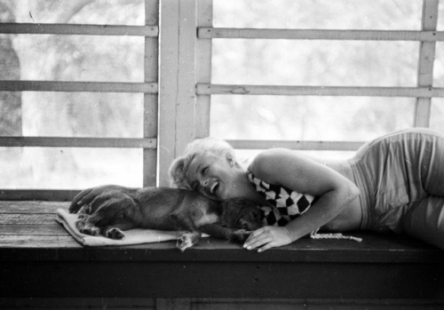 Marilyn Monroe: always most at home among children, animals, and elderly people. Photos by Ernst Haa