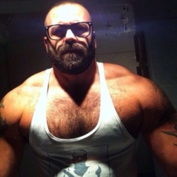Bear and muscle world.
