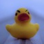 insubudordinateduck