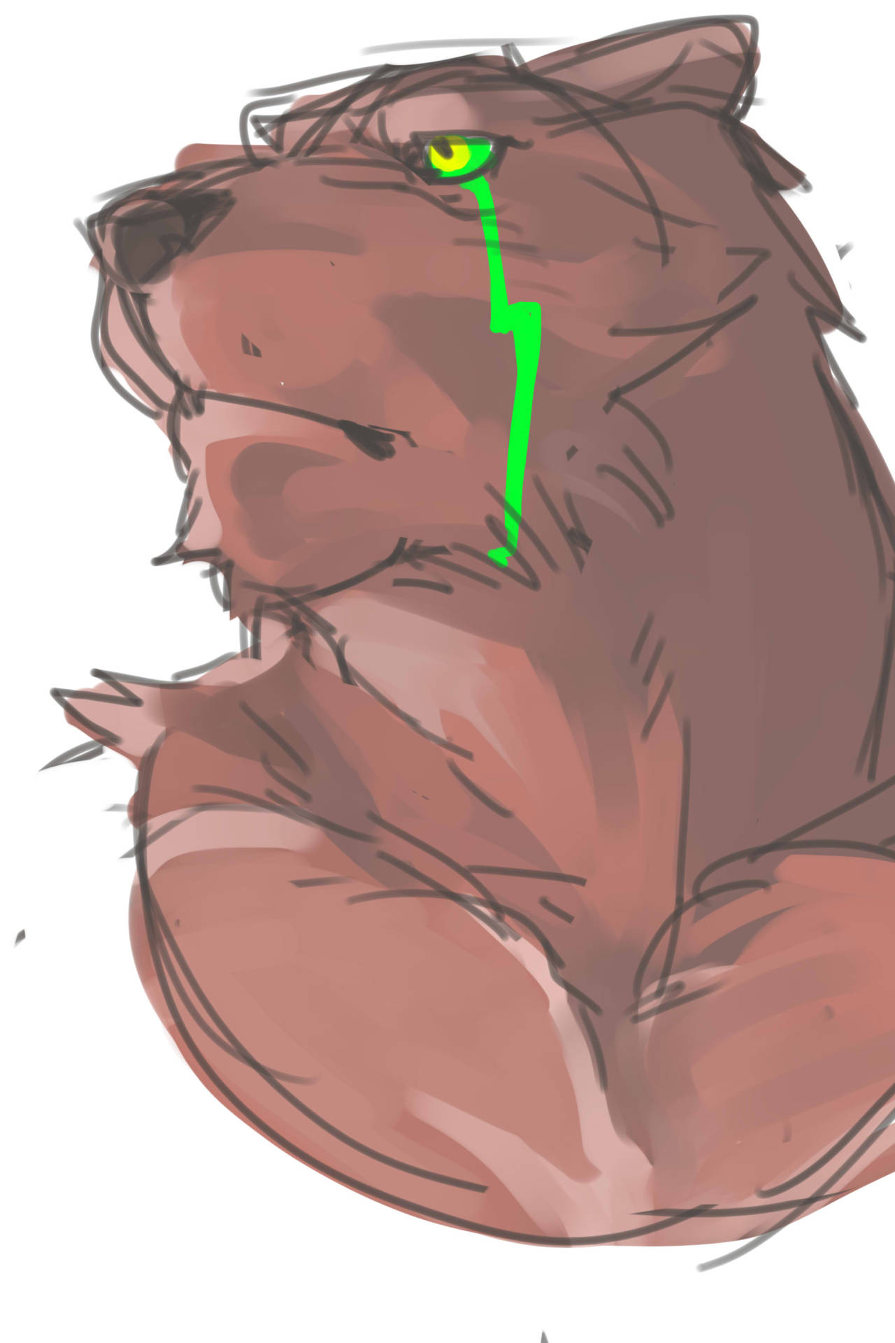 dubu-t:  colored doodles~