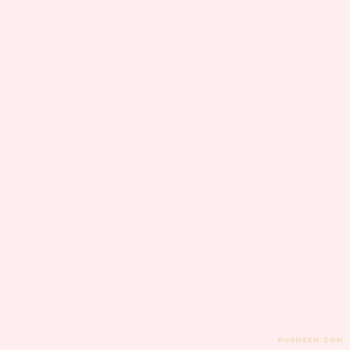 circus20204 - Untitled