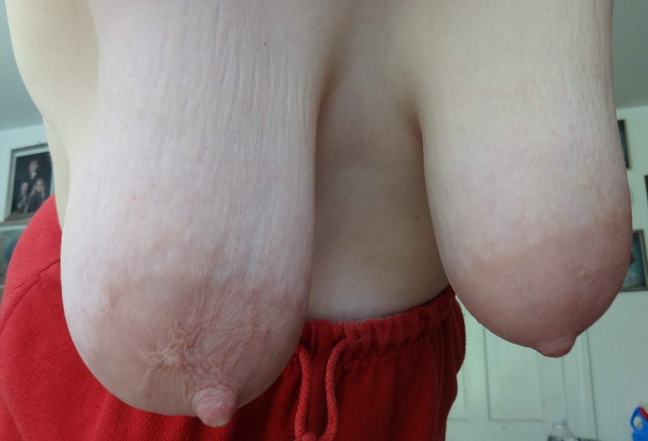 Beautiful Tits Shaped Like Tits Should be Shaped