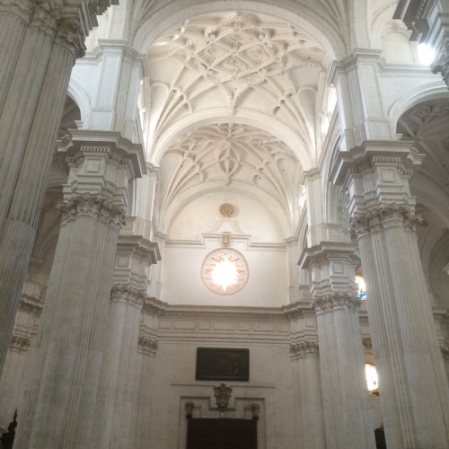 glossfae: Cathedral in Granada, Spain ⛪️