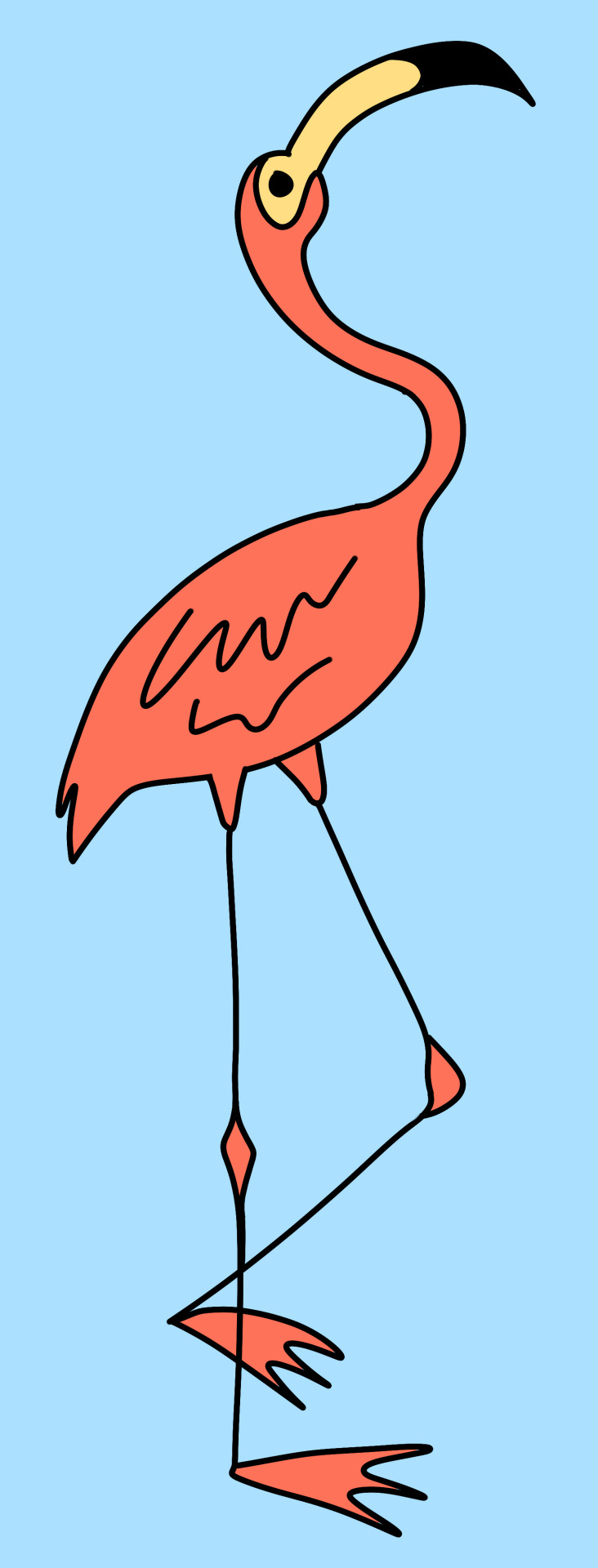 pugardens:  bird-son:  ///Flamboyant///  