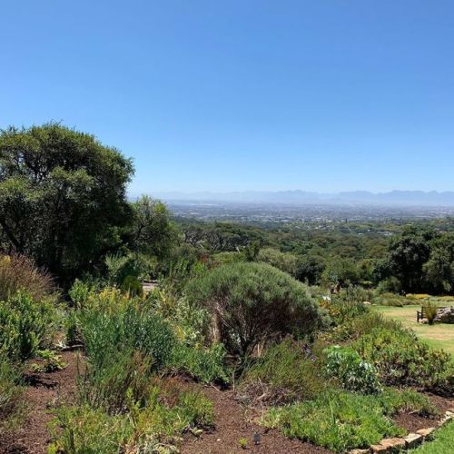 the #breathtaking, #gorgeous #kirstenbosch#capetown #summer...