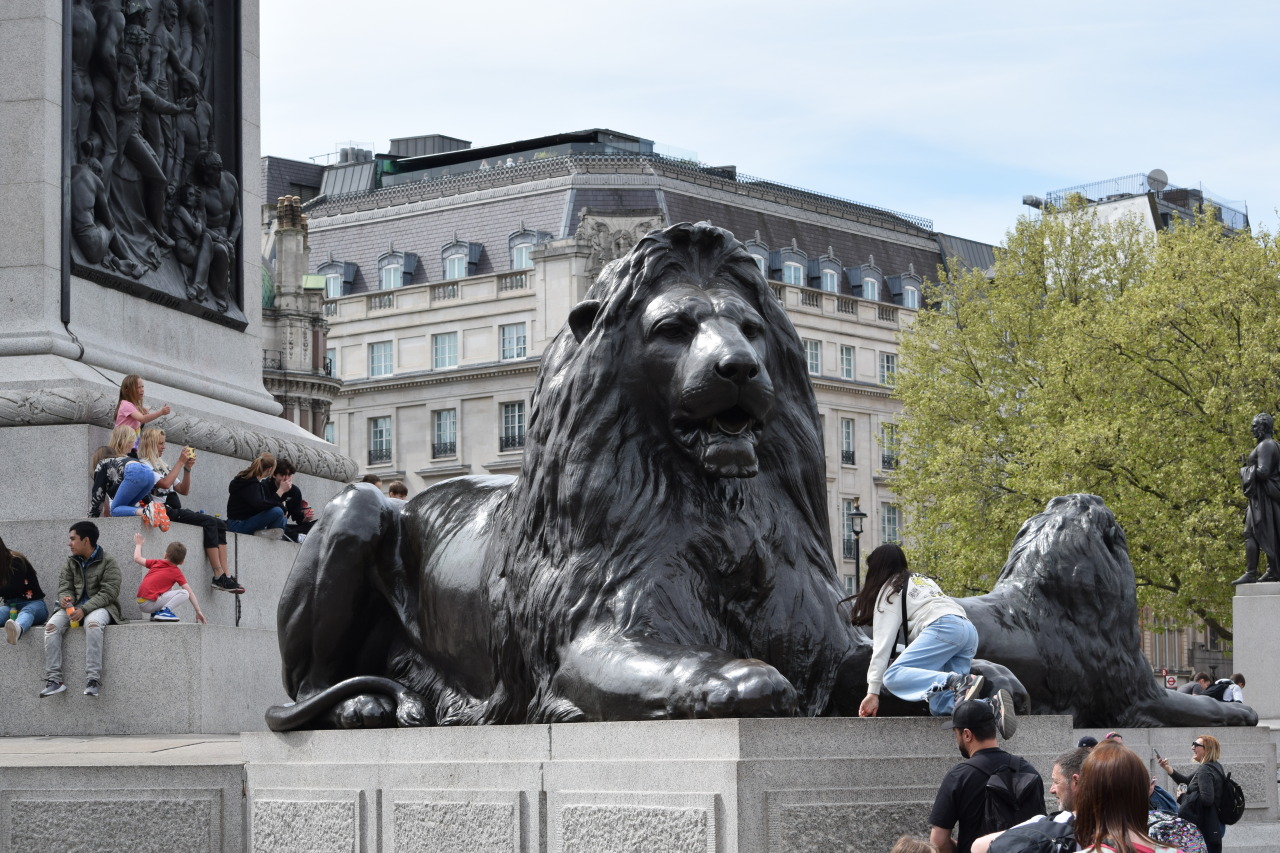 #trafalgar square#uk#London#lion statue