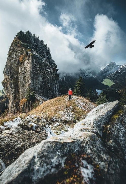 6reat-photos:“Mountain Guardian” byManuel Dietrich