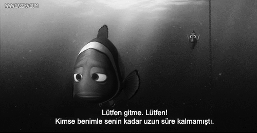 S E N A