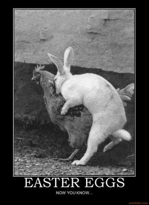 One life, live it! NSFW