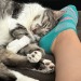 darriness:When his head fits in your foot arch…