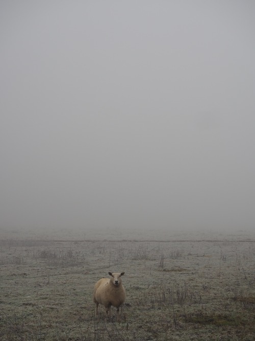 Peddars Way and Houghton, NorfolkDecember 2020