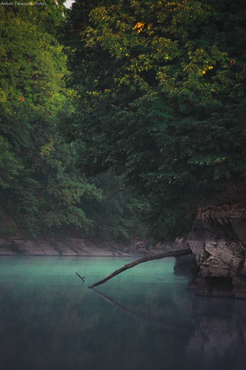 antontarasyuk:  i WAS ON RIVER  