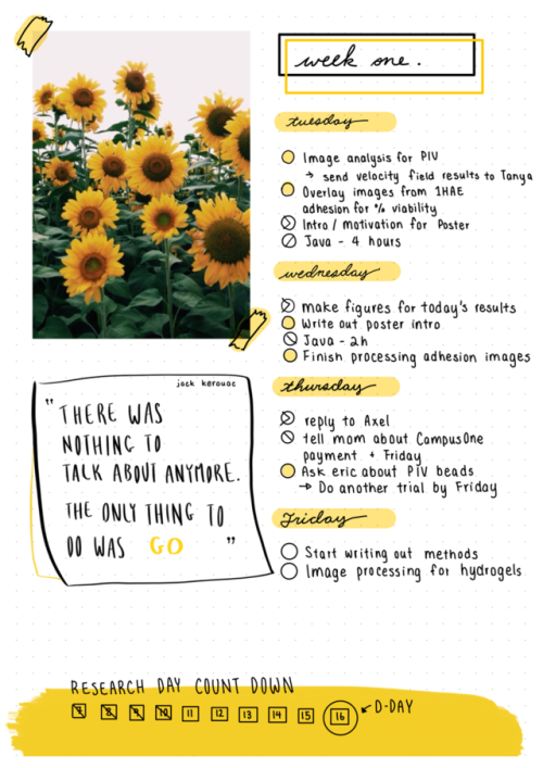 study-engine: August Spread No.1
